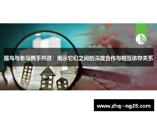 魔鸟与老马携手共进：揭示它们之间的深度合作与相互依存关系